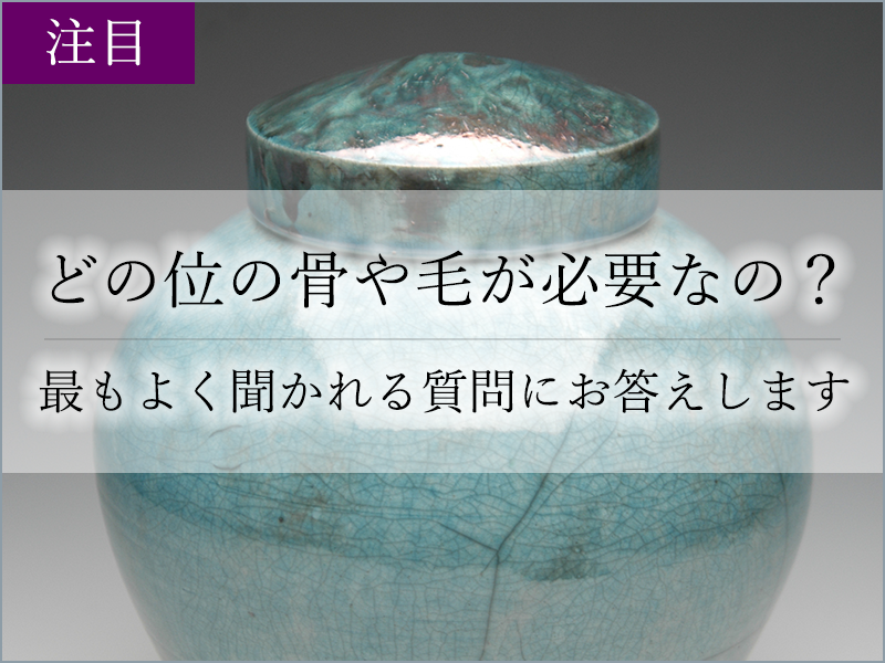 どの位の骨や毛が必要なの？最もよく聞かれる質問にお答えします。